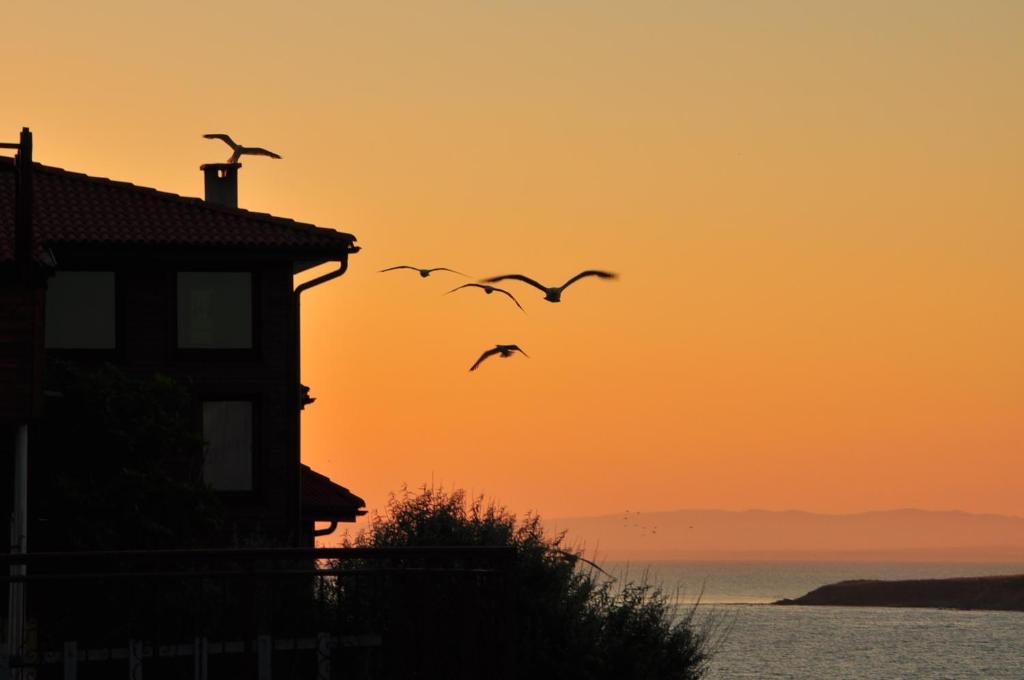 Deep Blue Guest House Sozopol Bagian luar foto