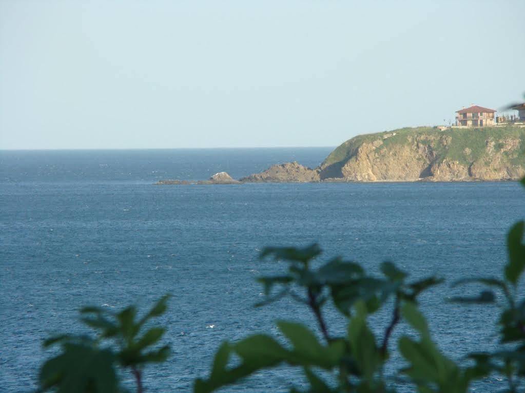 Deep Blue Guest House Sozopol Bagian luar foto